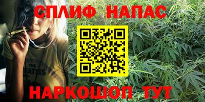 PSILOCYBIN Партизанск